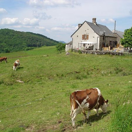 Chez Marraine Villa Sauvat Luaran gambar