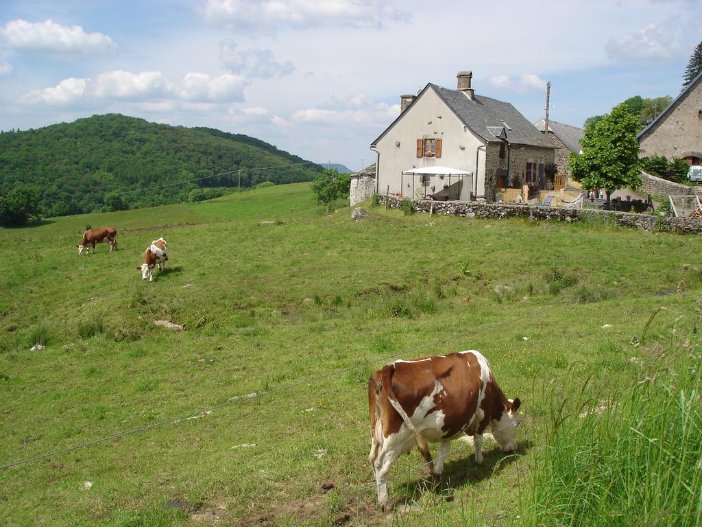 Chez Marraine Villa Sauvat Luaran gambar